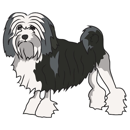 Signmission Lowchen Dog Decal, Dog Lover Decor Vinyl Sticker D-12-Lowchen